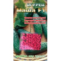 Огурец Маша F1 Ультраранний гибрид. Дражированные семена 40сем. Огурец Маша F1 Ультраранний гибрид. Дражированные семена 40сем.