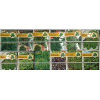 Семена Кориандр (кинза) большой пакет 5 г.