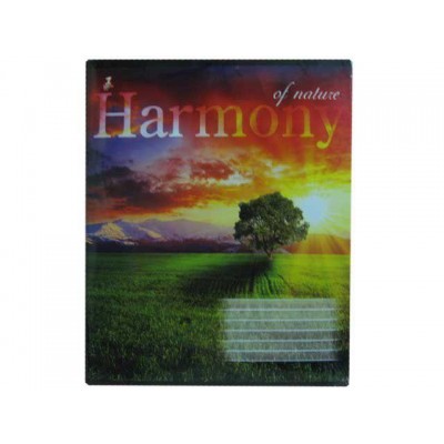 Зошит учнівський з малюнком на обкладинці 48листів смужка (15 шт.)