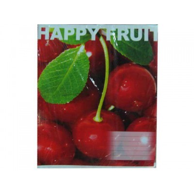 Зошит учнівський з малюнком на обкладинці 48листів карта (10 шт.)