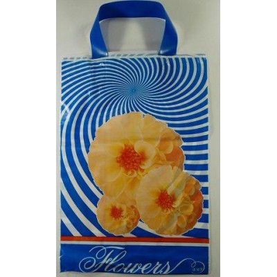 Пакет с петлевой ручкой (25*35)