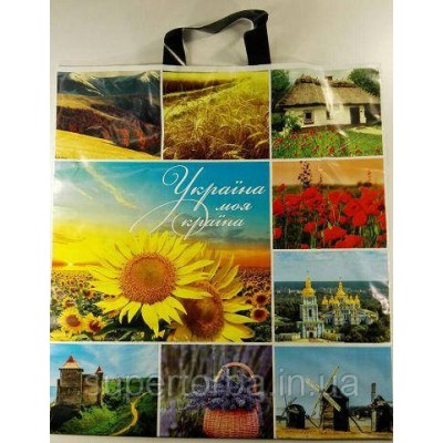 Пакет с петлевой ручкой размер 42*47 плотность 60 мкр 