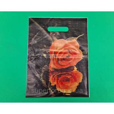 Пакеты с вырубной ручкой (25*35+3)