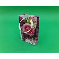 Пакет МИНИ 8*12*3.5 арт08 (12 шт)