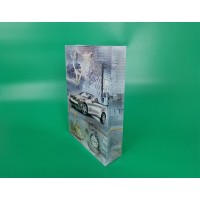 Большой бумажный пакет вертикальный  25/37/8(артBV-065) (12 шт)