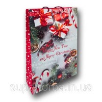 Пакет большой вертикальный Новый Год размер 25х37х8 NGBV-001 (12 шт) Пакет большой вертикальный Новый Год размер 25х37х8 NGBV-001 (12 шт)