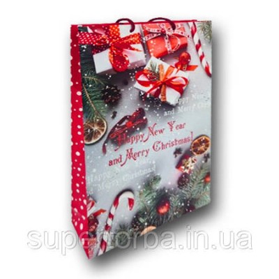 Пакет большой вертикальный Новый Год размер 25х37х8 NGBV-001 (12 шт) Пакет большой вертикальный Новый Год размер 25х37х8 NGBV-001 (12 шт)
