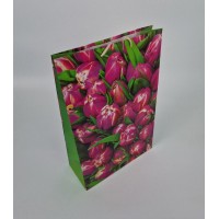 Гиганты вертикальные(30х42х12)(артGV-005) (12 шт)