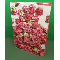 Пакет бумажный гигант вертиркальный (30х42х12)(артGV-061) (12 шт)