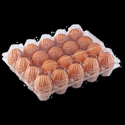 Упаковка для куриных яиц 20 ячеек прозрачная (50 шт)