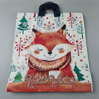 Пакет с петлевой ручкой 40*42ВТ Н.Год 