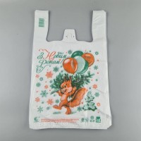 Пакеты Майка п/э (29*47) Комсерв НГ Пакеты Майка п/э (29*47) Комсерв НГ