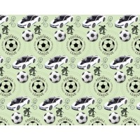 Бумага упаковочная мелованная 80г 10 листов  100 х 70см Зеленый Unison (PVM10-34)