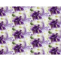 Бумага упаковочная мелованная 80г 10 листов  100 х 70см Фиолетовый Unison (PVM10-210)