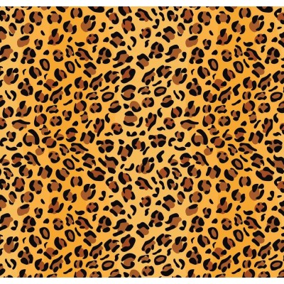 Бумага  для упаковки подарков 10 листов 100 х 70 см 50г (PCZ10070-10-651)