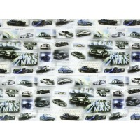 Бумага упаковочная мелованная 80г 10 листов  100 х 70см Разноцветный Unison (PVM10-97)