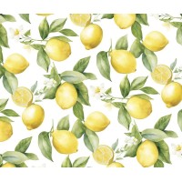 Бумага для упаковки подарков 10 листов  100 х 70см 50г (PCZ10070-10-589)