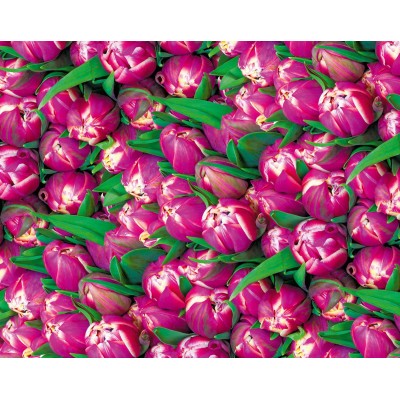 Бумага упаковочная мелованная 80г 10 листов - 100 х 70см