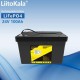 Аккумулятор LiFePO4, LiitoKala, 24V 100Ah, BMS smart плата