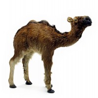 Верблюд (из кожи и меха) (12')(32х30х8 см)