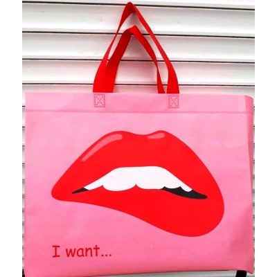 Сумка ламинированная горизонтальная, размер 38x33x10см Сумка ламинированная горизонтальная, размер 38x33x10см