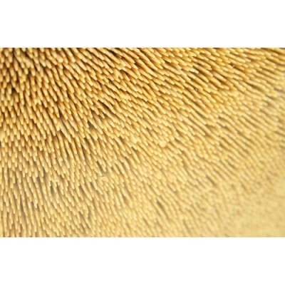 Зубочистки одностороннее (1610шт.)