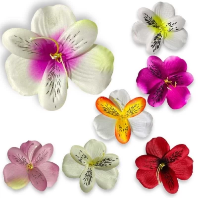 Голова Орхидеи, 10см