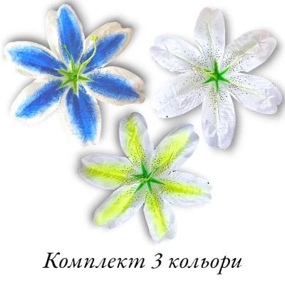 Лилия большая пятнистая, 19см