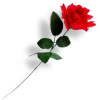 Роза одинарная на ножке, 55см