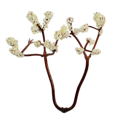 Кашка белая пенопласт, 7 см, в упаковке: 200 шт