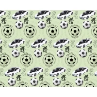 Бумага упаковочная мелованная 80г 10 листов  100 х 70см Зеленый Unison (PVM10-34)