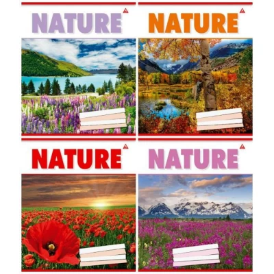 Тетрадь 24 листа в линию Разноцветный Unison (Тр 005а/959056) Тетрадь 24 листа в линию Разноцветный Unison (Тр 005а/959056)