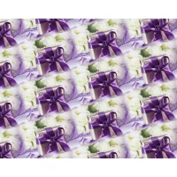 Бумага упаковочная мелованная 80г 10 листов  100 х 70см Фиолетовый Unison (PVM10-210)