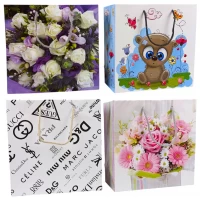 Подарочный  пакет 24х24х10 Разноцветный Unison (PVM242410MIX)