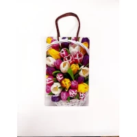 Пакет подарочный 130гр, 17 х 26 х 8см (12шт/уп) Разноцветный Unison (PVM172608W тюльпан)