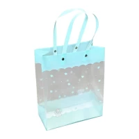 Пакеты прозрачные пластиковые, 4 цвета, 19,5 х 24,5 х 9,5см Разноцветный Unison (SZ5014-051993-D)