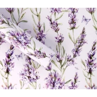 Бумага для упаковки подарков 10 листов  100 х 70см 50г (PCZ10070-10-598)