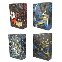 Пакет подарочный 210гр, 30 х 42.5 х 12см (Q3021L)