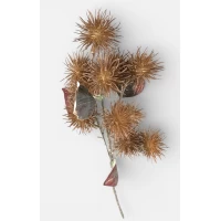 Ветвь декоративная Эхинопс, 60см коричневая (с30517-1)