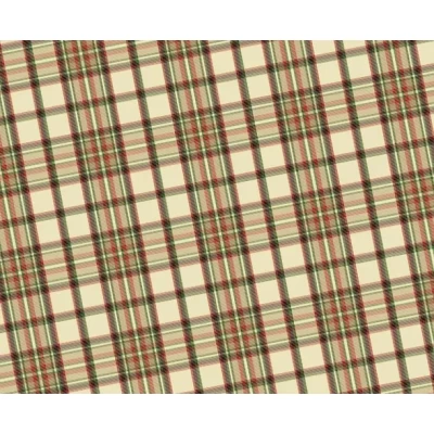 Бумага для упаковки подарков 10 листов  100 х 70 см 50г (PCZ10070-10-650)