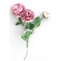 Ветка ранункулюса азийского, 50 см, пудровая (с30555-5)