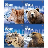 Тетрадь 60 листов в клетку Разноцветный Unison (Тр 008/959061)