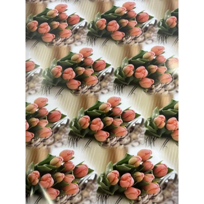 Бумага упаковочная мелованная 80г 10 листов  100 х 70см Разноцветный Unison (PVM10-234)