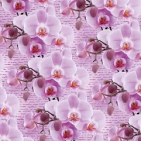 Бумага упаковочная мелованная 80г 10 листов  100 х 70см Розовый Unison (PVM10-264)