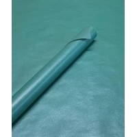 Бумага упаковочная крафт-двосторонний 0,7 х 7м (Пт 858.24)