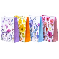 Пакет бумажный глянцевый 18 х 21,5 х 8см, 128г/м2 (2481S)