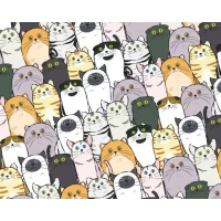 Бумага для упаковки подарков 10 листов 100 х 70см 50г (PCZ10070-10-616)