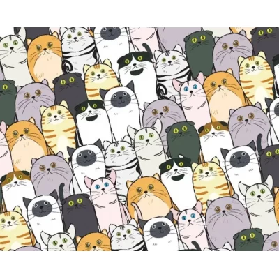 Бумага для упаковки подарков 10 листов 100 х 70см 50г (PCZ10070-10-616)