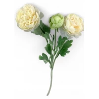 Ветка ранункулюса азийского, 50 см, кремовая (с30555-4)