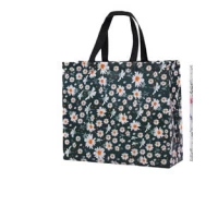 Сумка шопер пластиковая 32 х 27 х 10см (63-1-5-1006)